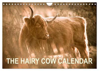 The Hairy Cow Calendar (Wall Calendar 2026 DIN A4 landscape), CALVENDO 12 Month Wall Calendar