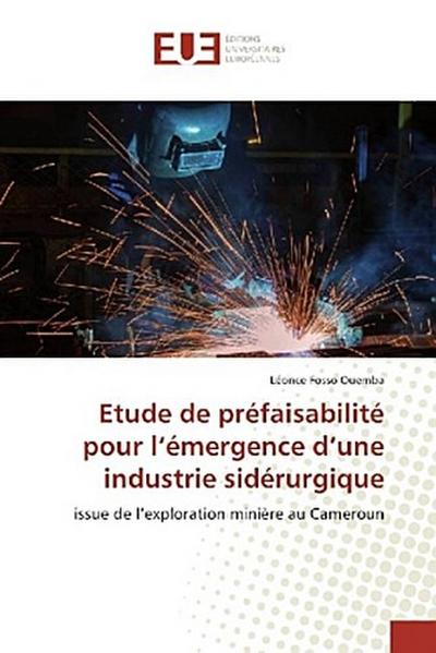 Etude de préfaisabilité pour l’émergence d’une industrie sidérurgique
