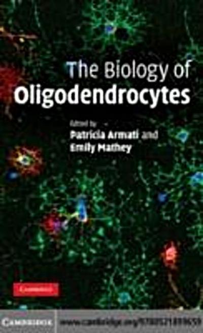 Biology of Oligodendrocytes