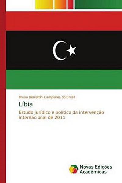 Líbia : Estudo jurídico e político da intervenção internacional de 2011
