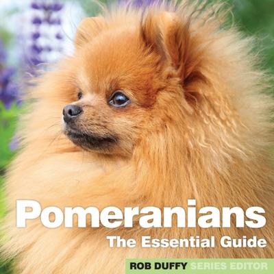 Pomeranians