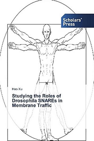 Studying the Roles of Drosophila SNAREs in Membrane Traffic