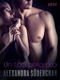 Un tipo peligroso - Relato erótico