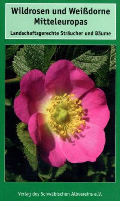Wildrosen und Weißdorne Mitteleuropas