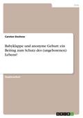 Babyklappe und anonyme Geburt: ein Beitrag zum Schutz des (ungeborenen) Lebens?