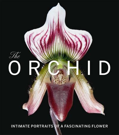 The Orchid