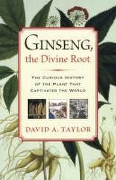 Ginseng, the Divine Root