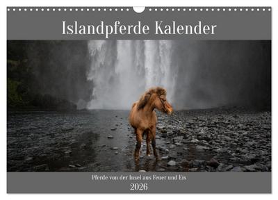 Islandpferde Kalender - Pferde von der Insel aus Feuer und Eis (Wandkalender 2026 DIN A3 quer), CALVENDO Monatskalender
