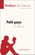Petit pays de Gael Faye (Analyse de l’oeuvre)