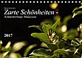 Zarte Schönheiten - Schmetterlinge MalaysiasCH-Version (Tischkalender 2017 DIN A5 quer) - Bianca Schumann