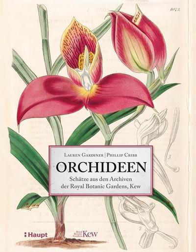 Gardiner, Orchideen