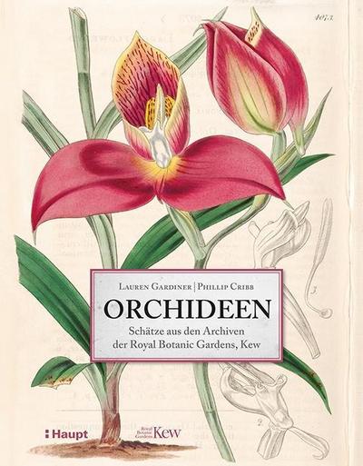 Orchideen