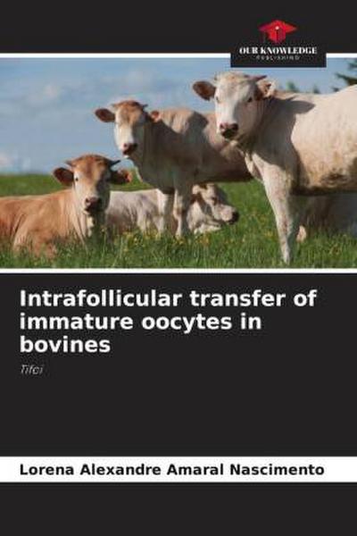 Intrafollicular transfer of immature oocytes in bovines