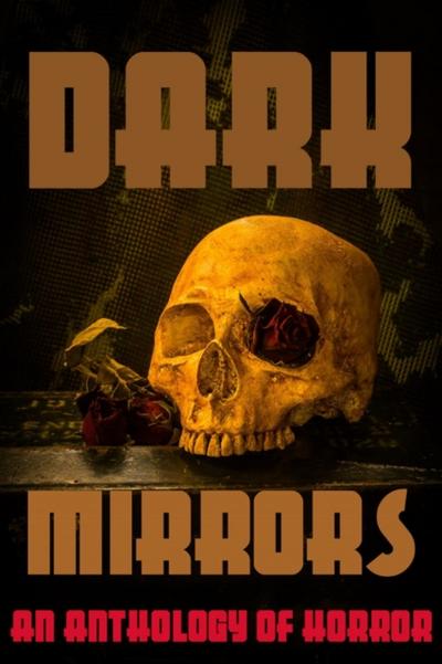 Dark Mirrors