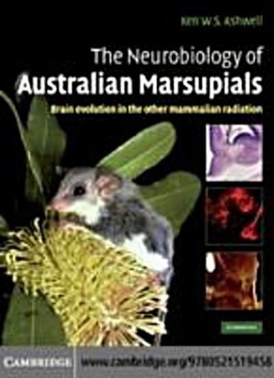 Neurobiology of Australian Marsupials
