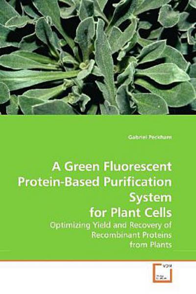 A Green Fluorescent Protein-Based Purification System for Plant Cells