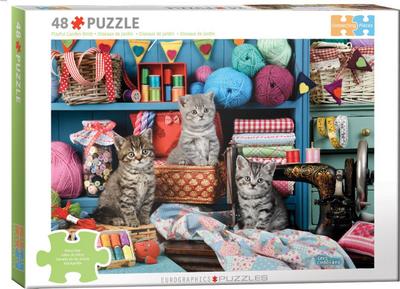 Mentales Wohlbefinden - Kittens in the Sewing Room