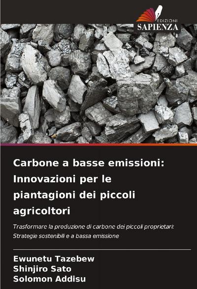Carbone a basse emissioni: Innovazioni per le piantagioni dei piccoli agricoltori