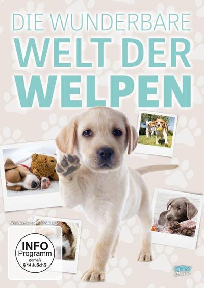 Die wunderbare Welt der Welpen, 1 DVD