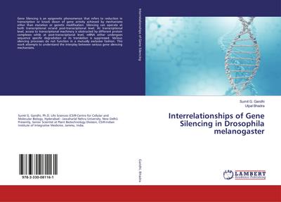 Interrelationships of Gene Silencing in Drosophila melanogaster