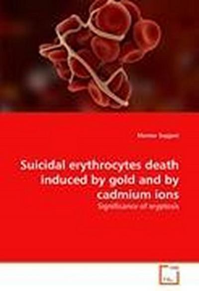 Suicidal erythrocytes death induced by gold and by cadmium ions