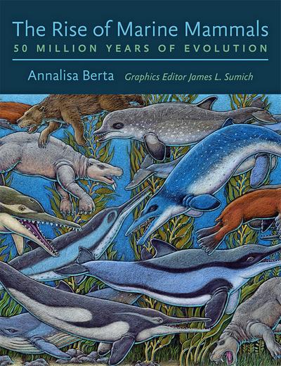 Rise of Marine Mammals