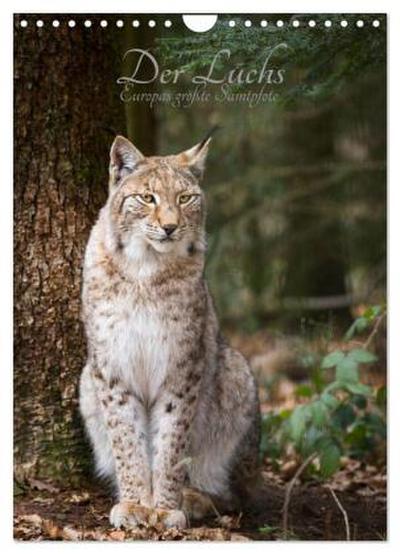 Der Luchs - Europas größte Samtpfote (Wandkalender 2026 DIN A4 hoch), CALVENDO Monatskalender