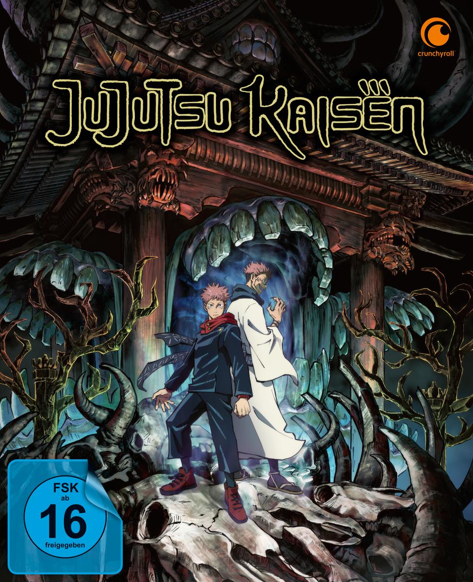 Jujutsu Kaisen - Staffel 1 - Vol 1 - DVD Sammelschuber Limited Edition