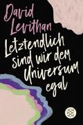 Letztendlich sind wir dem Universum egal von David Levithan | Taschenbuch