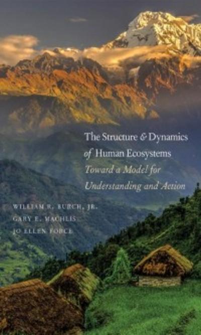 Structure and Dynamics of Human Ecosystems