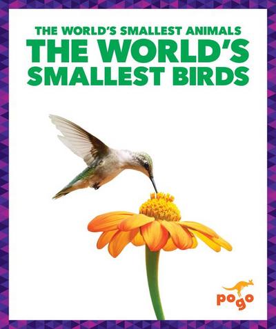 The World’s Smallest Birds