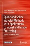 Spline and Spline Wavelet Methods with Application