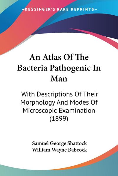 An Atlas Of The Bacteria Pathogenic In Man