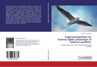 Legal perspectives on human rights protection in internal conflicts