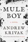 Mule Boy