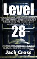 Level 28