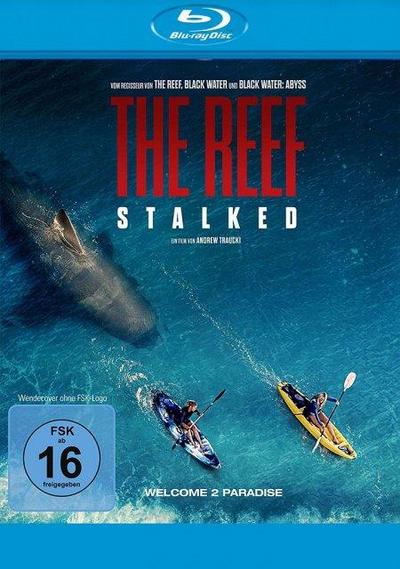 The Reef: Stalked