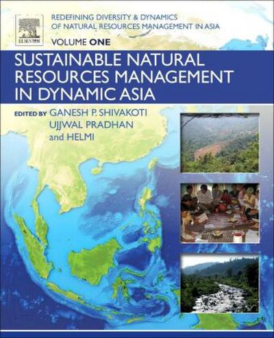 Redefining Diversity and Dynamics of Natural Resources Management in Asia, Volume 1