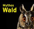 Mythos Wald