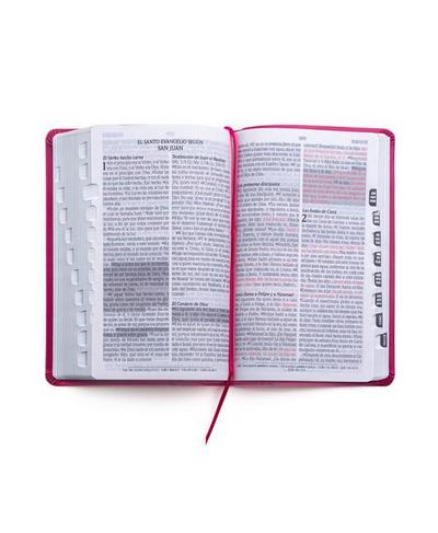 Santa Biblia de Promesas Reina Valera 1960 / Tamaño Manual / Letra Grande / Piel Especial Con Índice / Fucsia // Spanish Promise Bible Rv60 / Handy Size / Large Print / Leathersoft with Index / Fuchsia