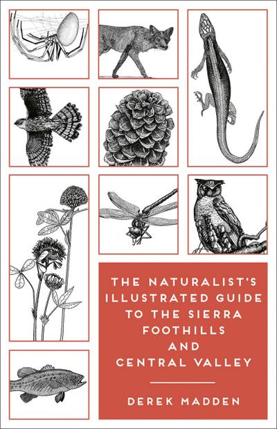 The Naturalist’s Illustrated Guide to the Sierra Foothills and Central Valley