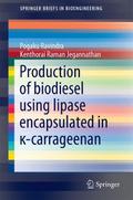 Production of biodiesel using lipase encapsulated 