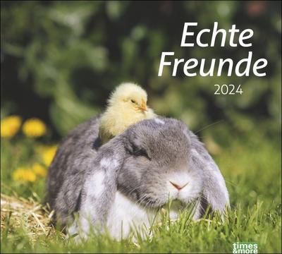 Echte Freunde Bildkalender 2024. Süße Tierfreundschaften in einem Kalender. Hochwertiger Fotokalender für Tierfreunde. Wandkalender im Querformat.