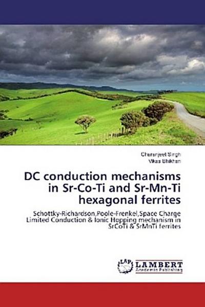 DC conduction mechanisms in Sr-Co-Ti and Sr-Mn-Ti hexagonal ferrites