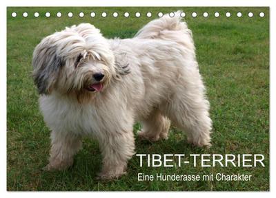Tibet-Terrier - Eine Hunderasse mit Charakter (Tischkalender 2026 DIN A5 quer), CALVENDO Monatskalender
