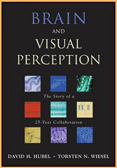 Brain and Visual Perception