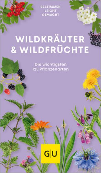 Wildkräuter. Wildfrüchte