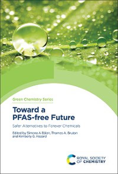 Toward a PFAS-free Future (eBook, PDF) - Simona A Blan