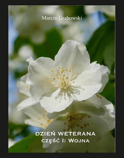 Dzien Weterana