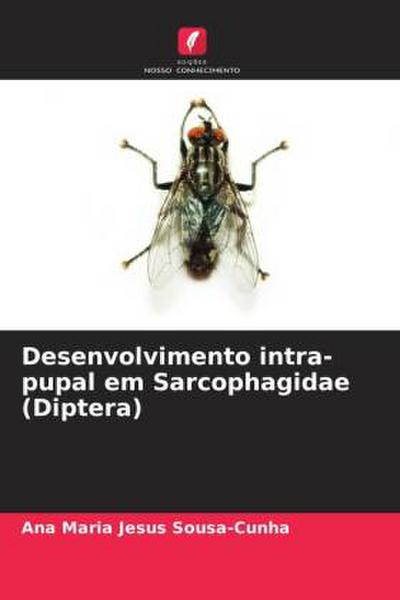 Desenvolvimento intra-pupal em Sarcophagidae (Diptera)